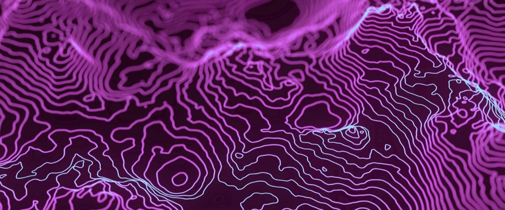Purple topography lines