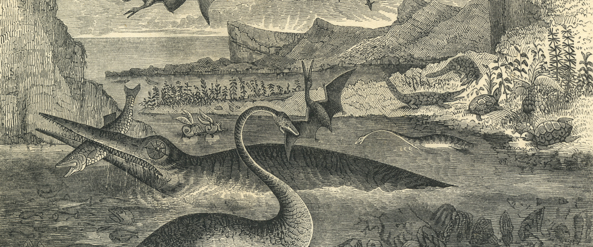 Etching of a prehistoric scene showing dinosaurs on land and in sea