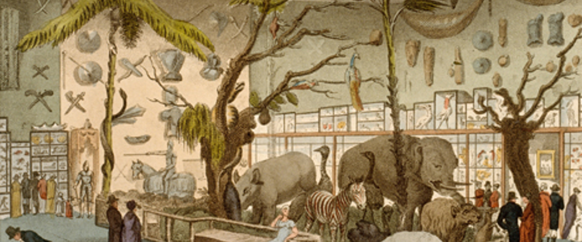 Coloured engraving showing the interior of Bullock's Museum