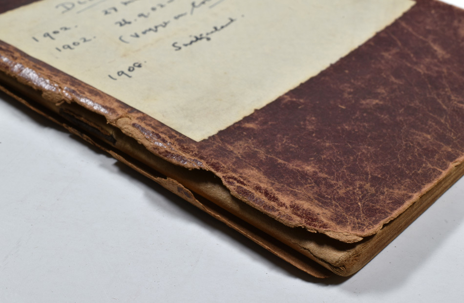 Fermor diary - Cover