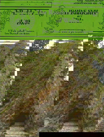 Cover image The Roadside Geology of Wales