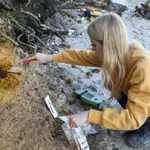 woman in a yellow jumper taking samples from a rock face