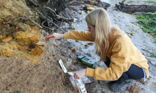 woman in a yellow jumper taking samples from a rock face