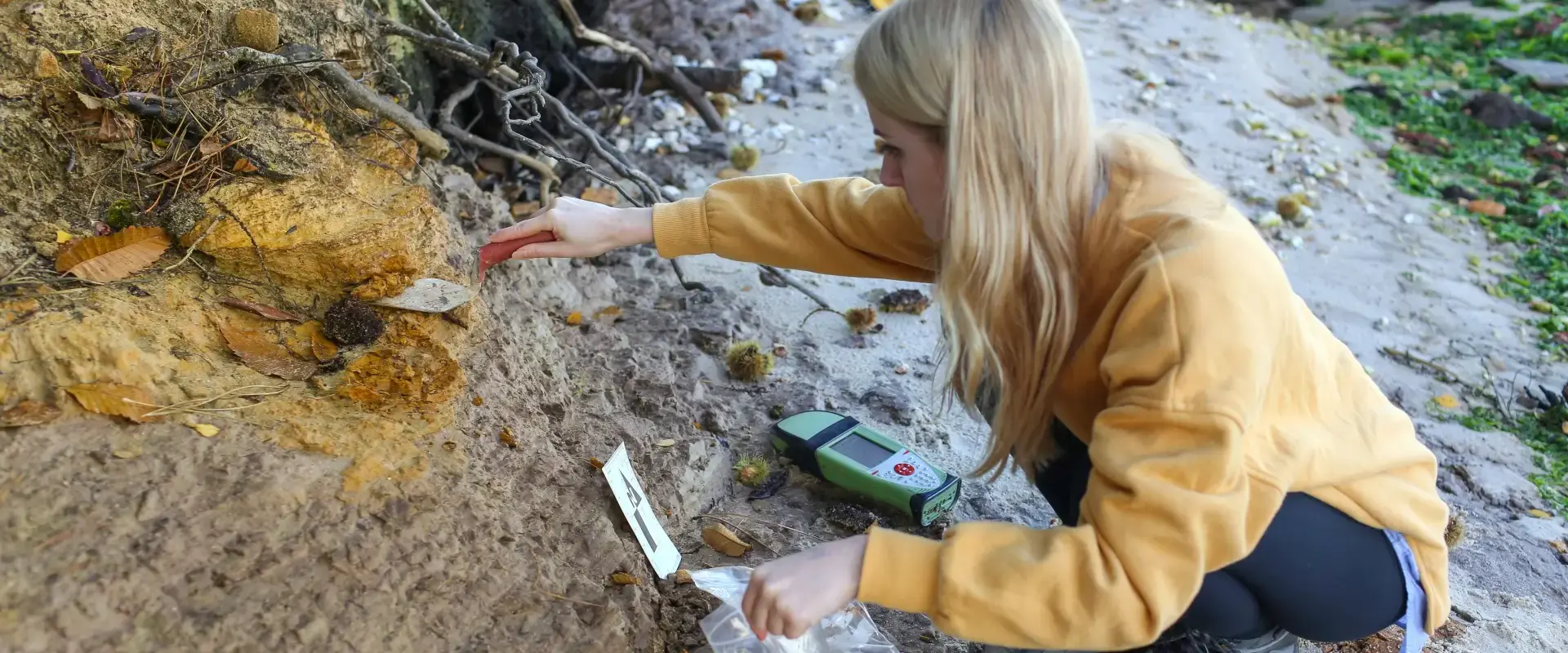 woman in a yellow jumper taking samples from a rock face