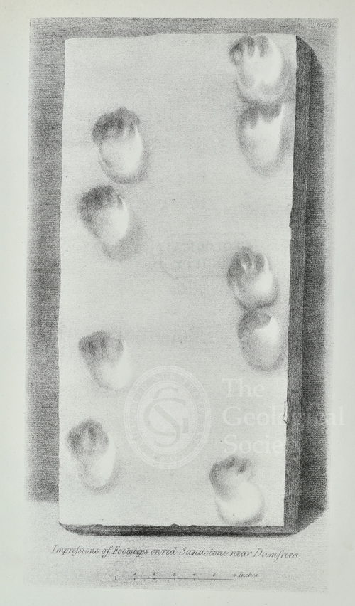 Plate 25 from Buckland's Bridgewater Treatise 1836 