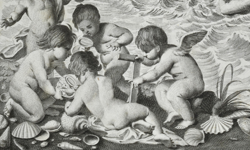 Detail of Index Testarum, black and white engraving showing five cherubs looking at shells