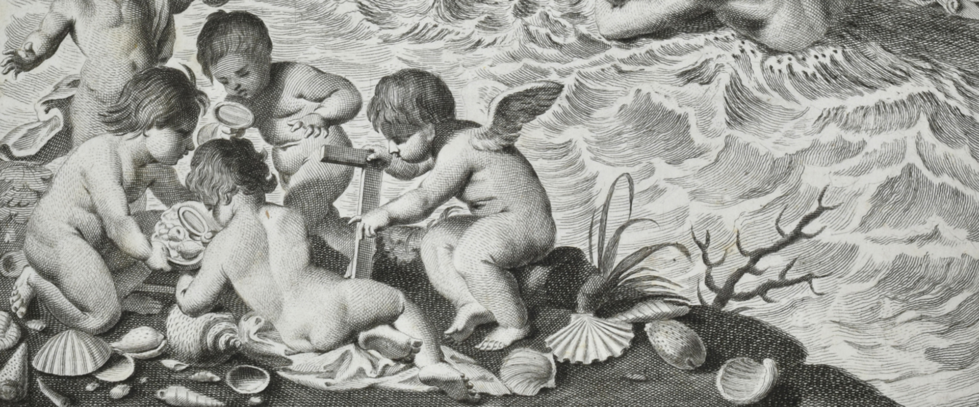 Detail of Index Testarum, black and white engraving showing five cherubs looking at shells