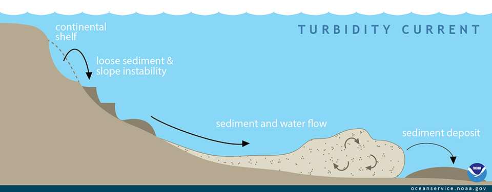 Turbidity Currents