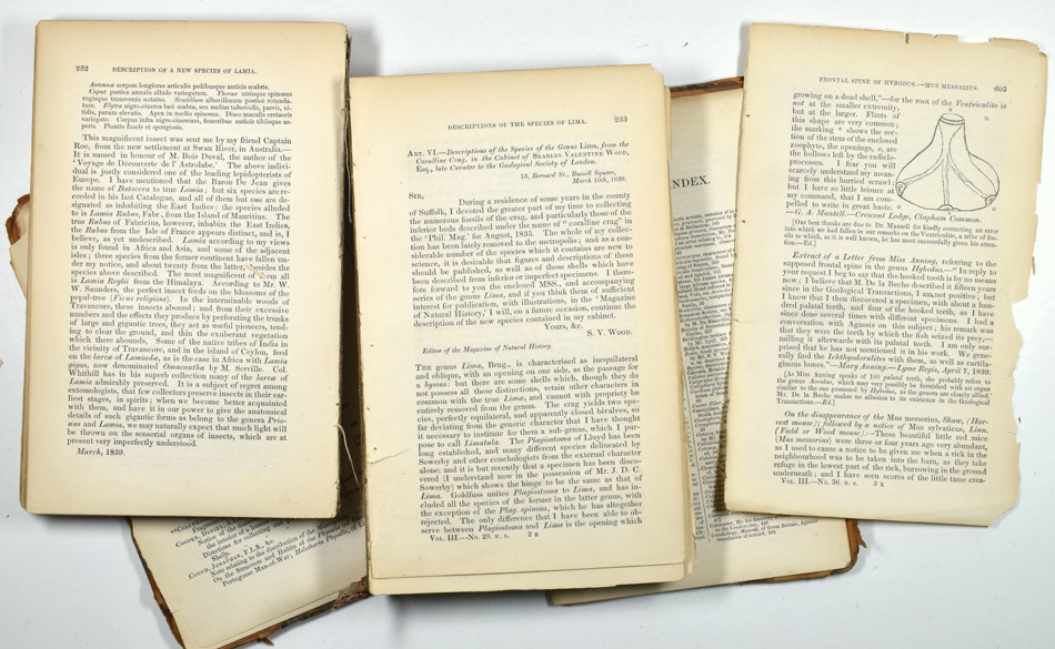 Magazine of Nat History - Broken Binding