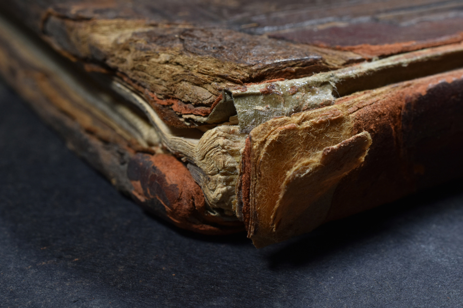 Griffith Ireland - Spine And Boards