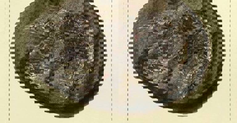 19th Century drawing of Fossil Fish Coccosteus, showing intricate scales