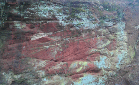 Alderley Edge Red Dunes