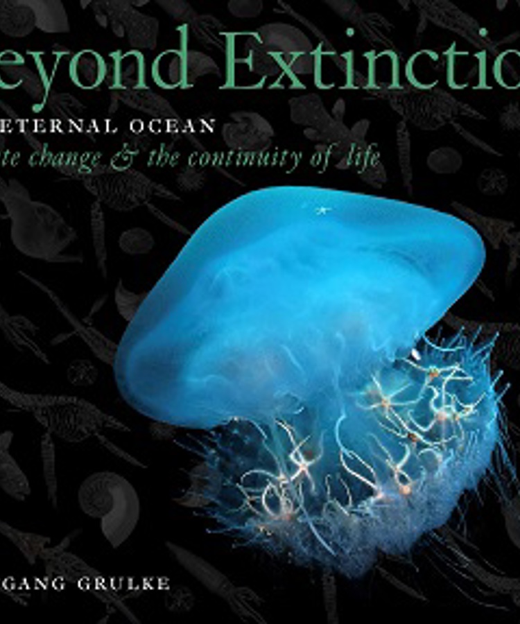 Cover image Beyond Extinction