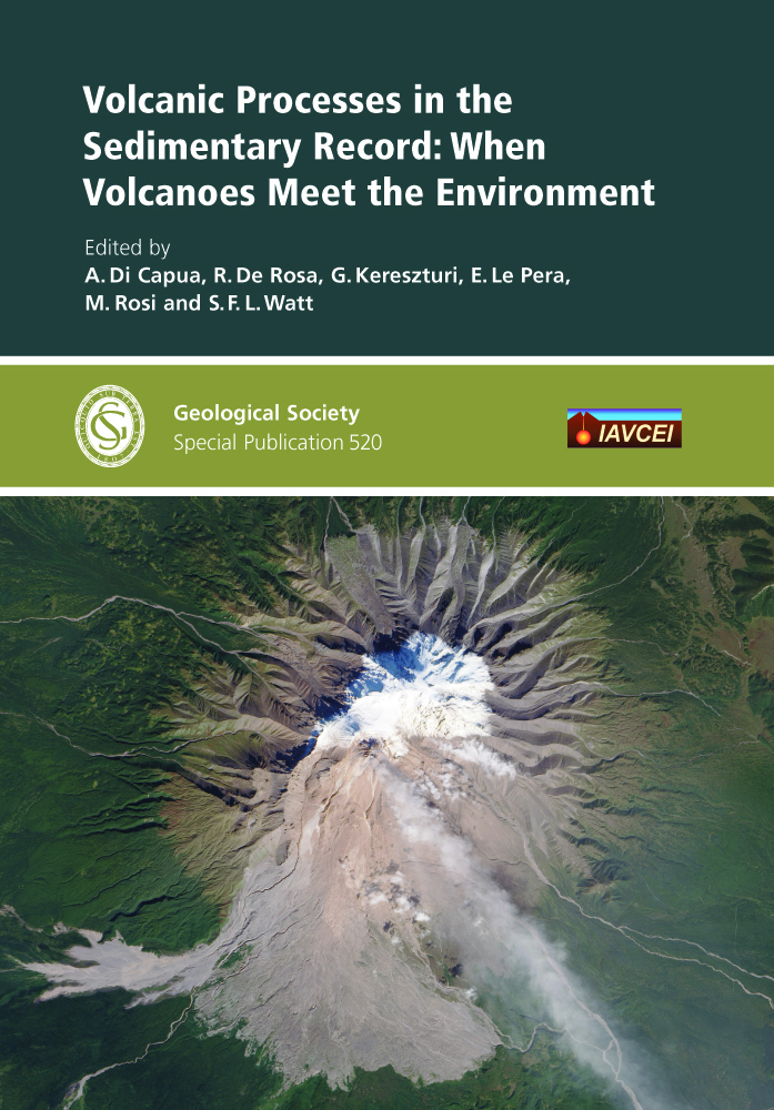 Cover Volcanic Processes in the Sedimentary Record: when Volcanoes meet the Environment