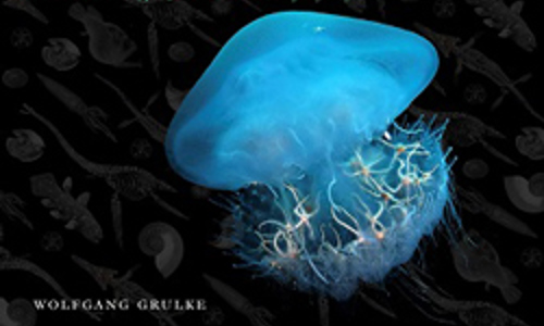 Beyond Extinction: The Eternal Ocean. Climate change & the continuity of life