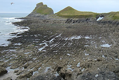 Worm's Head