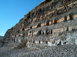 Kimmeridge Bay