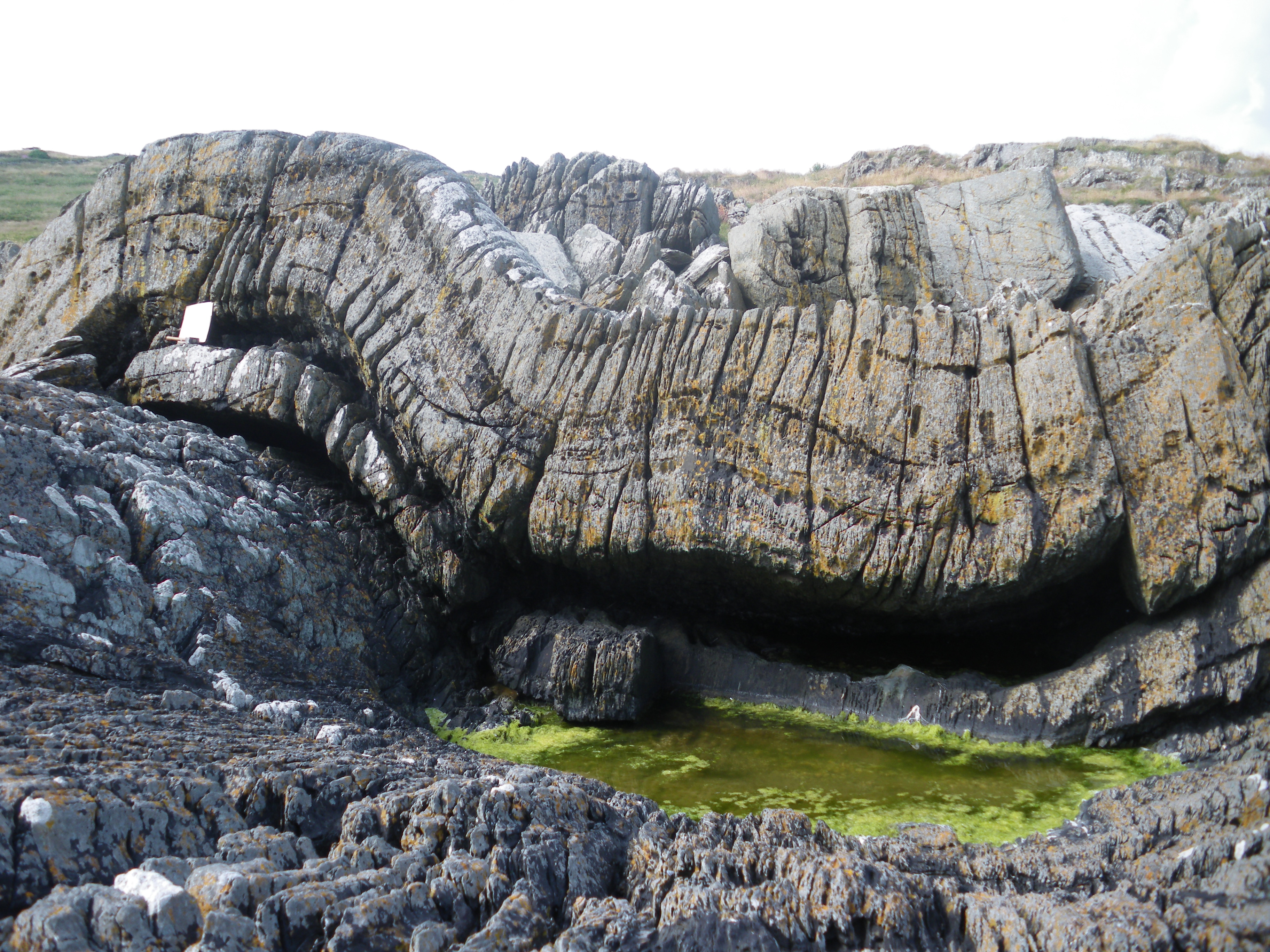 Clogher Head Fold