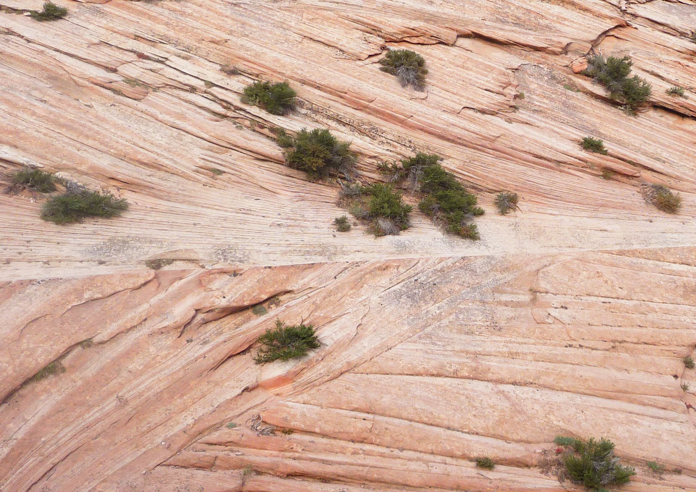 Sandstone Cross Bedding