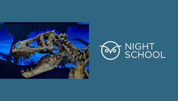 A dinosaur fossil skeleton is displayed next to a graphic logo with an owl and the words “Night School” on a blue background.