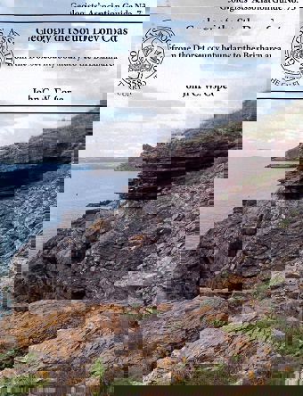 Cover Geology of the South Devon Coast: from the Dorset county boundary to the Brixham area