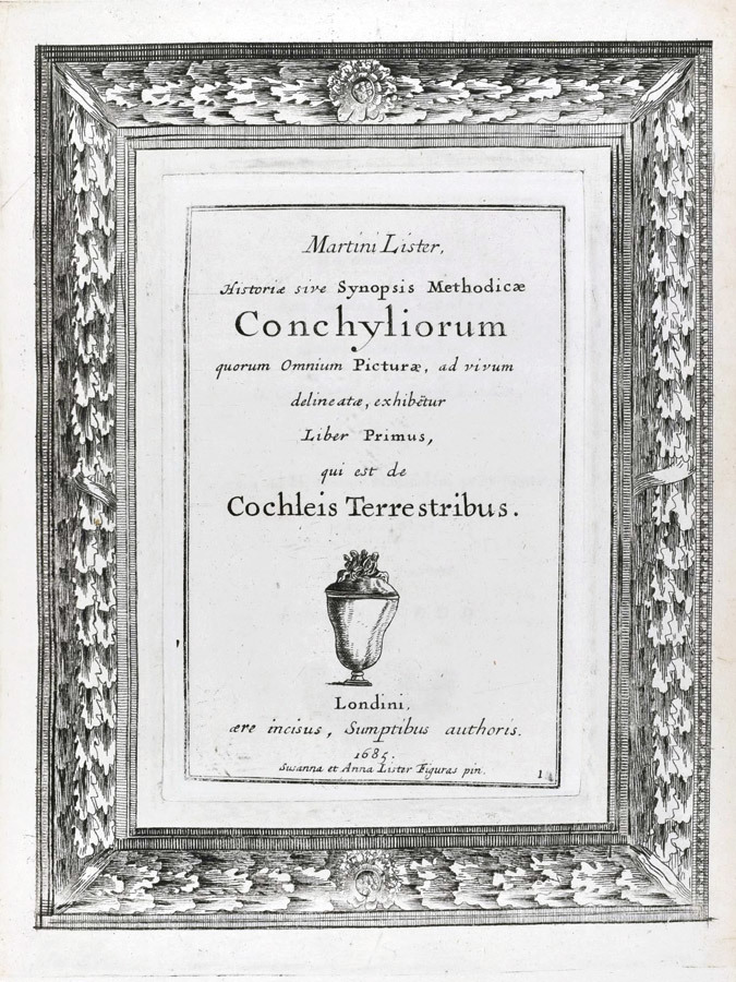 Conchylorium Title Page